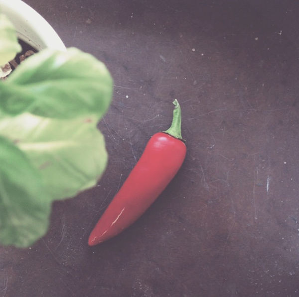 Skärmavbild 2014-08-27 kl. 20.48.30