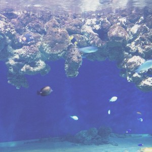 2015-03-14_1426334290