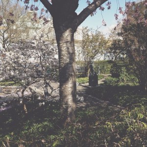 2015-04-29_1430306884