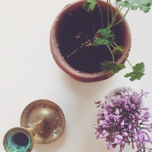 2015-05-17_1431886131