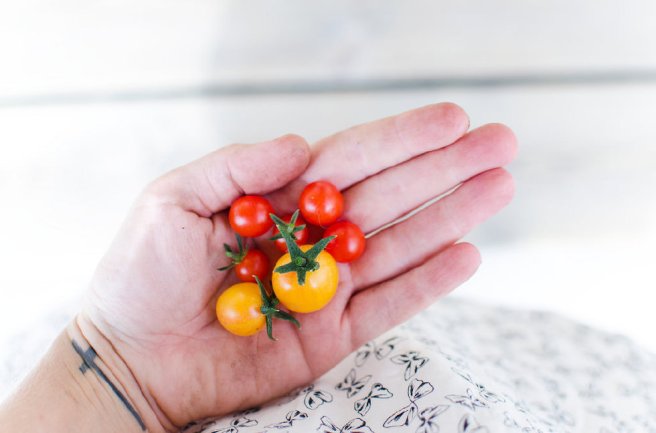 c4e19de74ae265762f36eb6a0f4c7692_980x0_c_85_s_v4